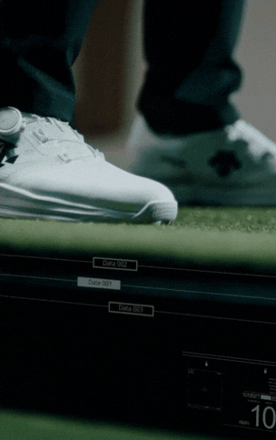 GOLFZON simulator